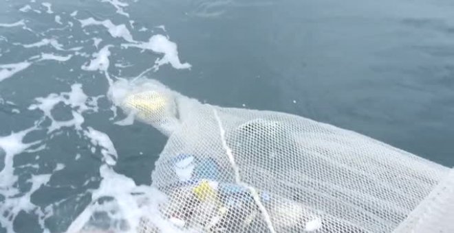 Los plásticos cubren las aguas del Golfo de Vizcaya