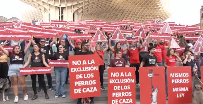 Protestas para incluir a los perros de caza en la nueva ley de bienestar animal