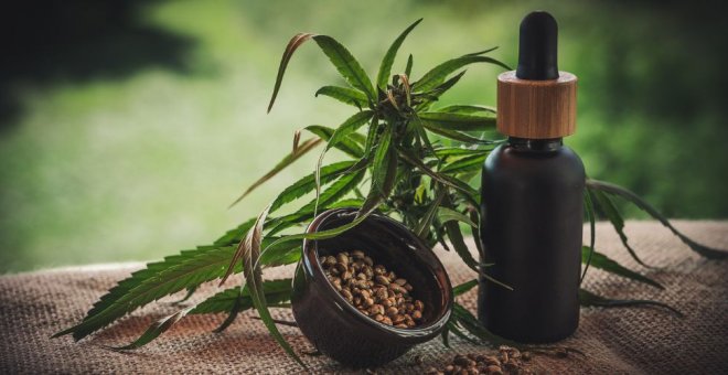 Cannabidiol (CBD): Un sustituto para la marihuana convencional