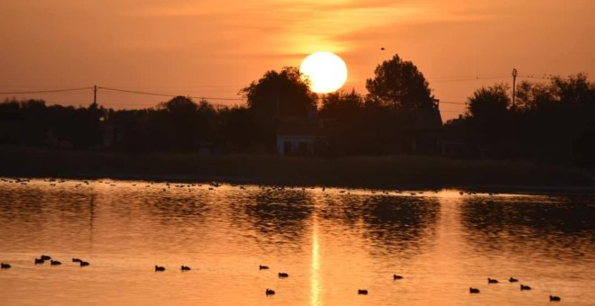 Auguran un futuro negro para las lagunas de Villafranca de los Caballeros, condenadas a desaparecer por la "inacción"