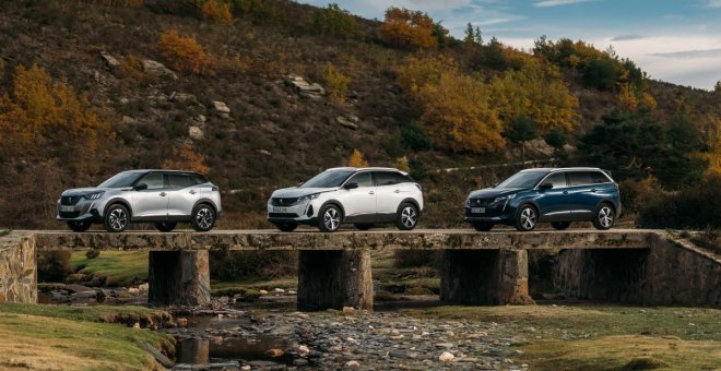 Visitamos el hayedo más al sur de Europa, patrimonio de la UNESCO, con un Peugeot 3008 Hybrid