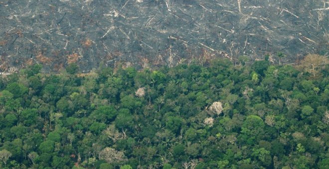 La deforestación en la Amazonía brasileña bate un nuevo récord en octubre y ya supera a todo 2021