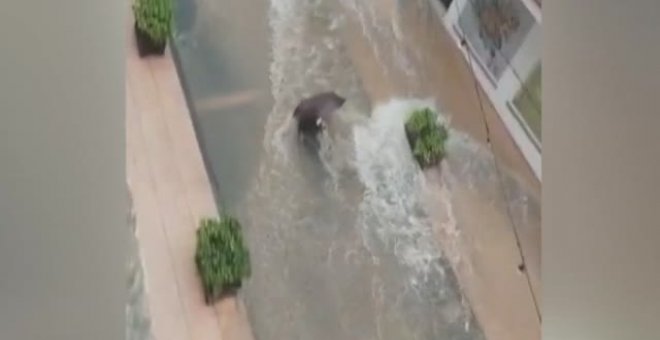 En Valencia siguen limpiando para recuperarse de las inundaciones del fin de semana