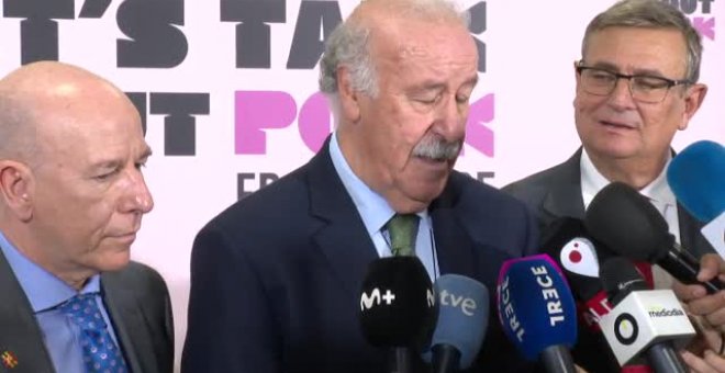 Vicente del Bosque: "Debemos tener la máxima confianza en la selección"