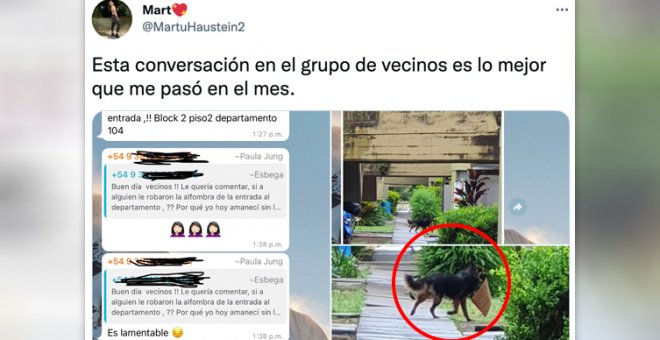 La genial historia de un grupo de vecinos y las extrañas desapariciones que sufrían: "Te amo perrito roba alfombras"