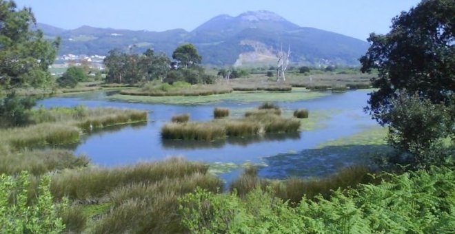 Anulado el PORN de las Marismas de Santoña, Victoria y Joyel