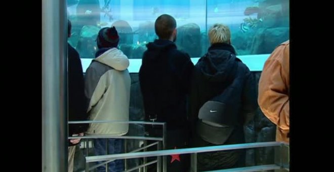 Estalla un acuario de 14 metros en Berlín