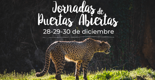 Los días 28, 29 y 30 de diciembre podrás visitar gratis el Parque de Cabárceno