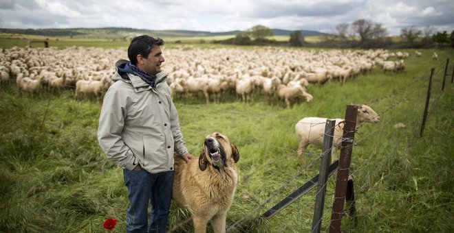 NO más macrogranjas. Por un futuro sostenible, apoya la ganadería extensiva