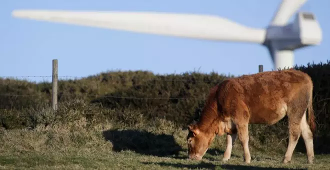 El informe ambiental del proyecto eólico de Quintanillas es desfavorable