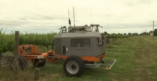 "Bravo Two": el robot de los viñedos australianos