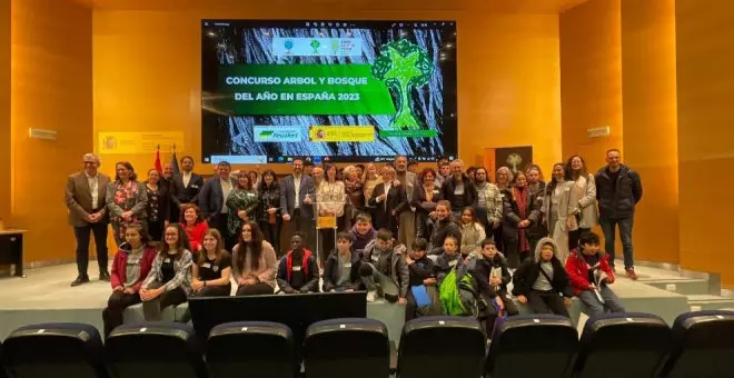 La encina de Colindres recibe el premio al Mejor Árbol de España