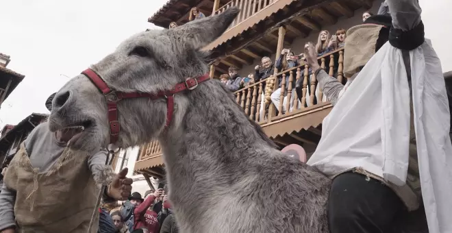 PACMA denuncia "maltrato psíquico" al burro del Peropalo en el carnaval de Villanueva de la Vera (Cáceres)