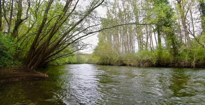 Un recorrido por los ríos de España que una vez amamos