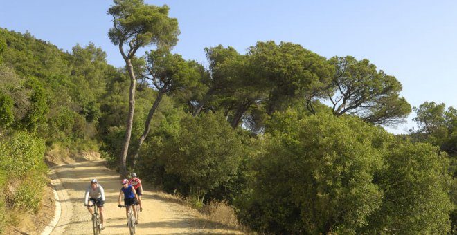 Set rutes amb bici per Collserola per a tots els públics i dificultats