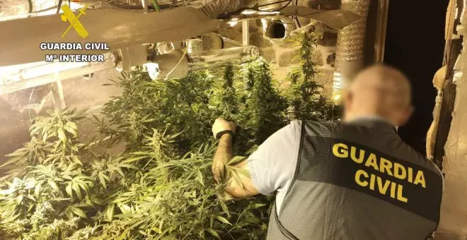 Desmantelan una plantación de marihuana en el desván de una vivienda en Viérnoles