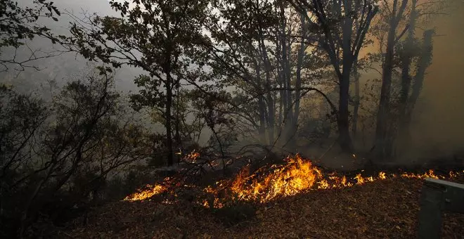 El 77% de los últimos 469 incendios investigados fueron provocados