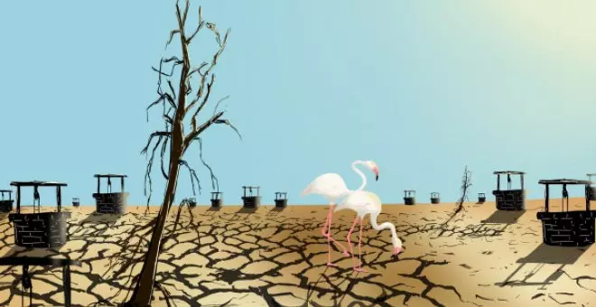 La destrucción de Doñana y otros ecocidios