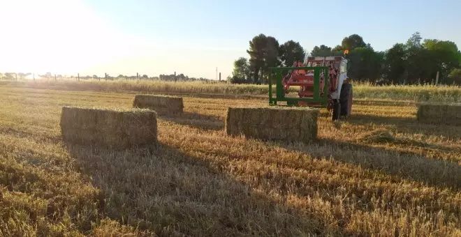 El 'Plan Sequía' se pone en marcha en Castilla-La Mancha con medidas pactadas por valor de 50 millones de euros