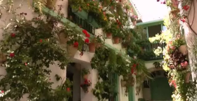 Lleno total en los coloridos patios de Córdoba a pesar del calor