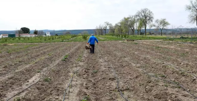 El Gobierno da 'luz verde' a ayudas por más de 636 millones para apoyar a agricultores y ganaderos frente a la sequía