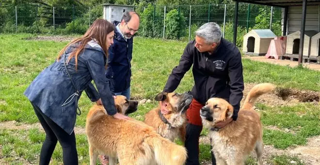 Zuloaga propone impulsar una nueva Ley de Bienestar Animal en Cantabria