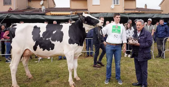 La ganadería de Cantabria "goza de buena salud" y hay "más vacas y más producción", según Revilla