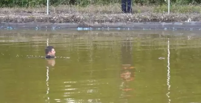 Complicada captura de un caimán aparecido en una balsa de agua de Yunclillos, en Toledo