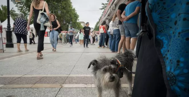 Lliteratura, adolescentes y bon tiempu: asina xurdió la tormenta perfecta de la Feria del Llibru de Xixón 2023