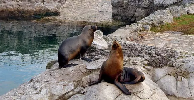 El Ayuntamiento comienza a retirar arena de las piscinas del minizoo de la Magdalena