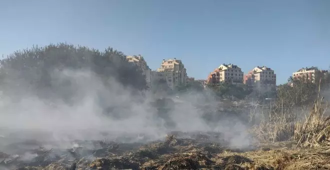 El incendio de Las Llamas quemó 4,5 hectáreas: "Jamás nadie ha apuntado a SEO Birdlife"