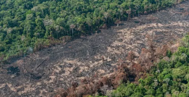 La prioridad urgente de salvar la Amazonía