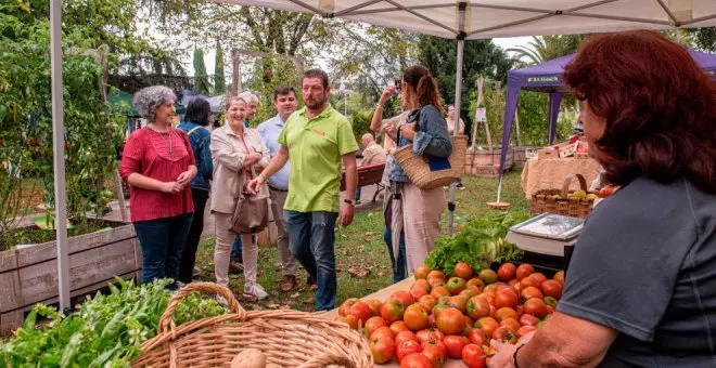 Inaugurado el III Festival del Tomate en el Parque Manuel Barquín