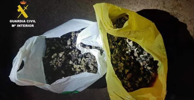 Intervenidos 32 kilos de percebes a dos furtivos en Oreña