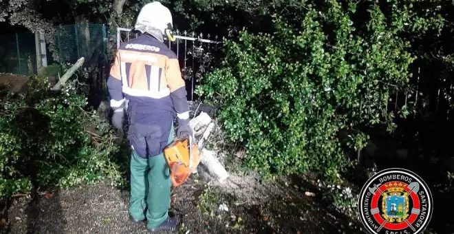 Cae en Maoño una rama de grandes dimensiones y rompe el cableado de la luz