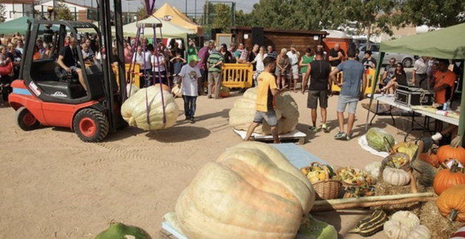 Ferias y mercados de Catalunya: 12 propuestas originales que puedes visitar a lo largo del año