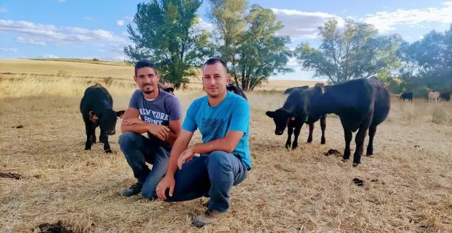 Ganadería regenerativa: las 'vacas felices' de dos jóvenes pastores felices