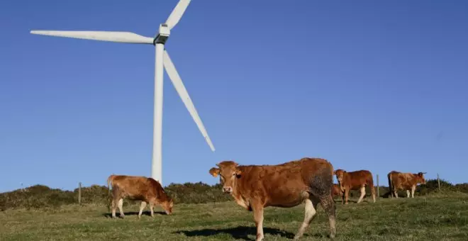 El Gobierno espera una resolución positiva para el Parque Eólico del Escudo el día 28