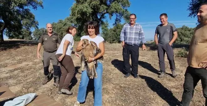 Castilla-La Mancha se marca como objetivo superar en diez años el peligro de extinción del águila imperial ibérica