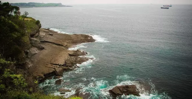 Revelan un "declive" de poblaciones de caballitos de mar en la Bahía de Santander