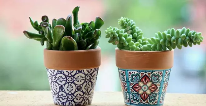 Consejos para decorar un jardín en invierno