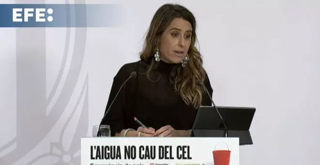 Plaja: Junts puede negociar con quiera, pero el PP se parece cada vez más a Vox