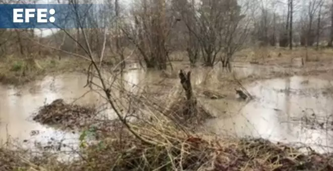 La tormenta Henk deja un muerto en Inglaterra