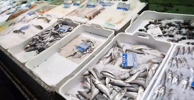 El PP lleva al Parlamento una iniciativa para reclamar al Gobierno una rebaja del IVA del pescado