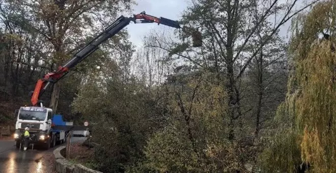 Retirado un árbol de grandes dimensiones del río Besaya en Molledo