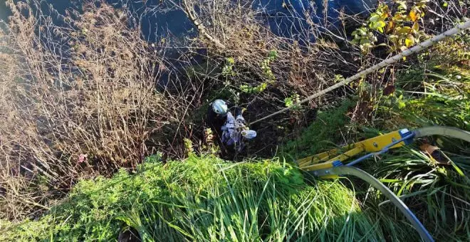 Los bomberos rescatan un perro tras caer al río en Las Caldas