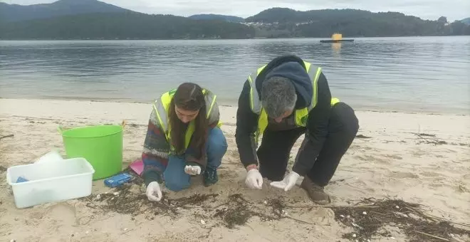 'Pellets' en las costas de Galicia: recordando al Prestige