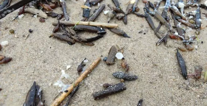 Siguen recogiendo "muy pocos" restos de pélets en las playas de Cantabria