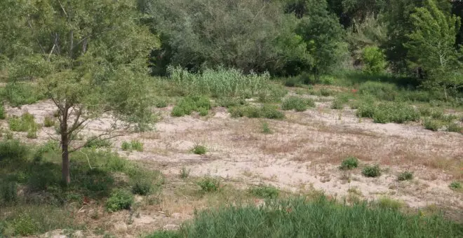 Ecologistes denuncia l'ACA per voler reduir els cabals dels rius Llobregat, Muga i Ter