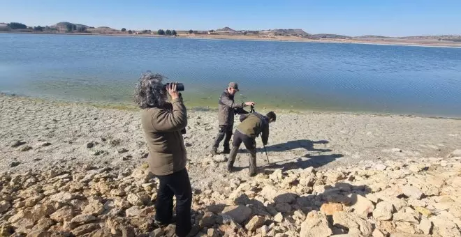 Apuesta decidida por la conservación de los humedales: Castilla-La Mancha invierte 7 millones para preservar sus ecosistemas
